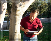 San Diego tree appraisal
